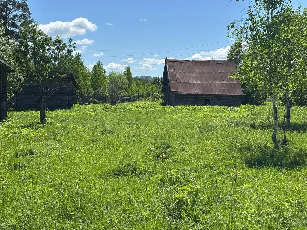 Участок в Алтай, Турочакский район, с. Дмитриевка  (25.0 сот.) - Фото 2