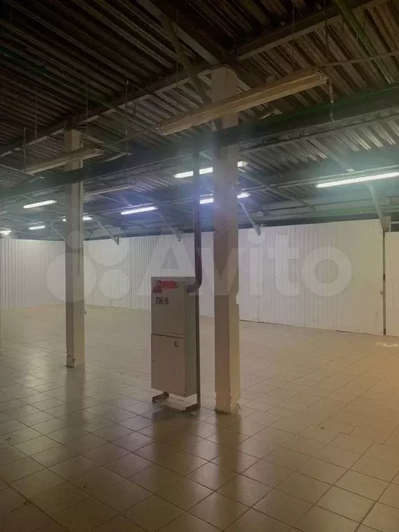 Свободного назначения, 180 м - Фото 0
