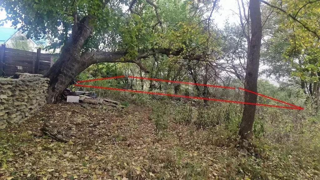 Участок в Ставропольский край, Ставрополь Дружба-2 садовое ... - Фото 2