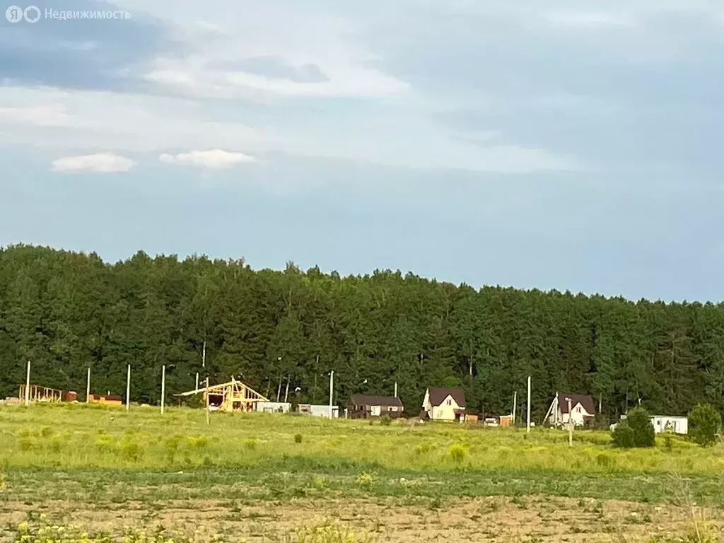 Участок в Клопицкое сельское поселение, деревня Сельцо, садовое ... - Фото 0
