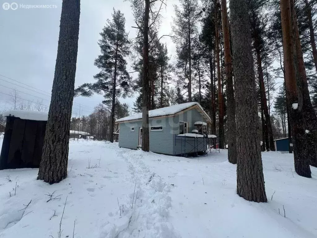 Дом в село Кончезеро, Солнечная улица (53.4 м) - Фото 2