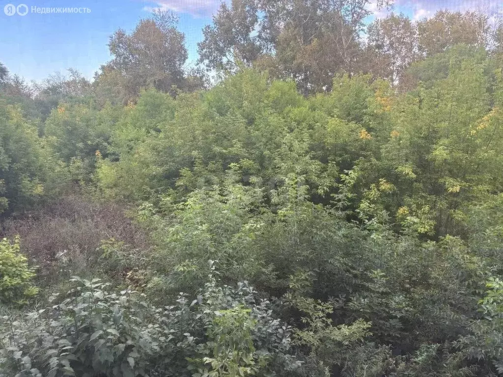 2-комнатная квартира: Комсомольск-на-Амуре, проспект Победы, 42к2 ... - Фото 0