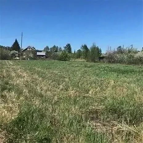 Участок в Нижегородская область, Богородский муниципальный округ, д. ... - Фото 1