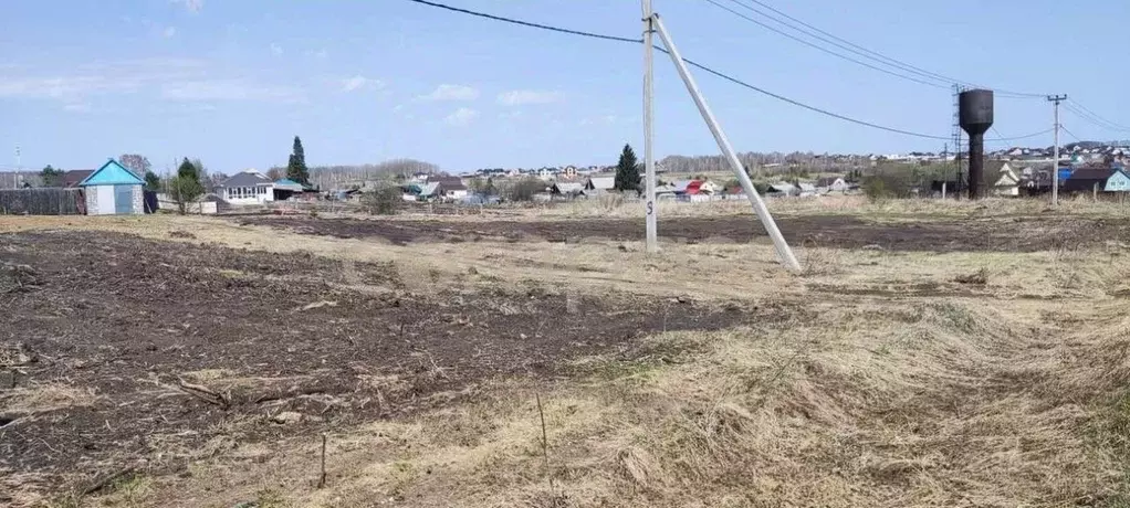 Участок в Тюменская область, Исетский район, с. Солобоево Октябрьская ... - Фото 1