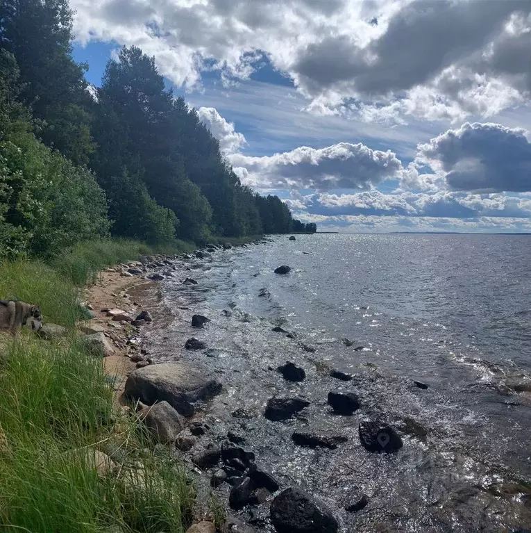 Участок в Карелия, Медвежьегорский район, Пиндушское городское ... - Фото 0