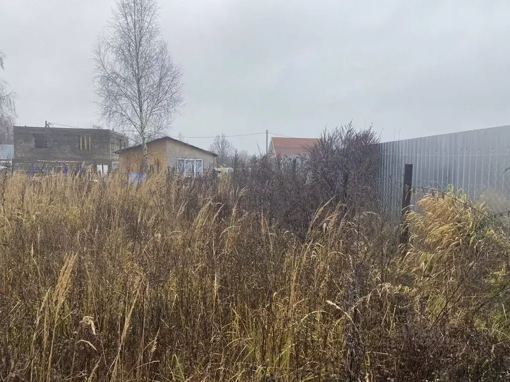 Участок в Московская область, Луховицы муниципальный округ, д. ... - Фото 1