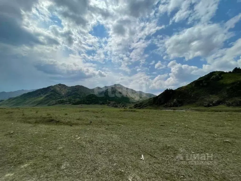 Участок в Алтай, Чемальский район, с. Ороктой  (74.0 сот.) - Фото 1