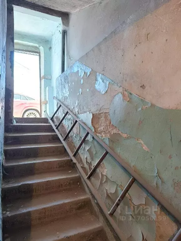 Помещение свободного назначения в Алтайский край, Барнаул городской ... - Фото 1