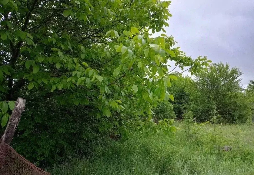 Участок в Северная Осетия, Владикавказ Хурзарин СНТ, ул. Мечтателей ... - Фото 0