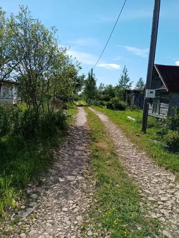 Участок в Новгородская область, Новгородский район, Ермолинское с/пос, ... - Фото 1