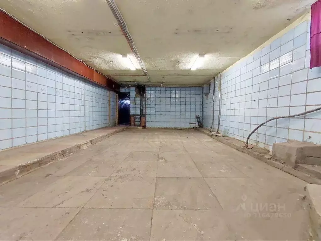 Склад в Саратовская область, Саратов просп. Имени 50 лет Октября, 124 ... - Фото 1