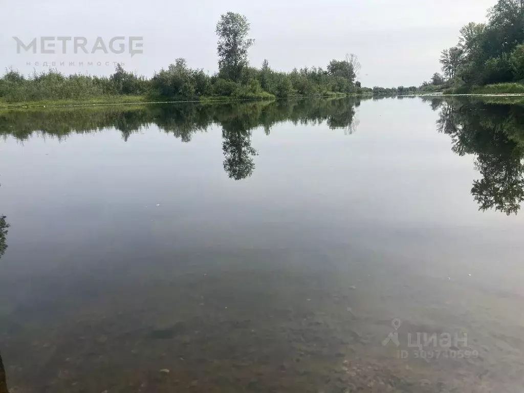 Участок в Новосибирская область, Колыванский район, Луговое СТ 54 (6.0 ... - Фото 0