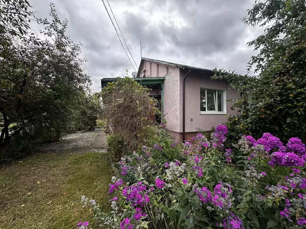 Дом в Калининградская область, Нестеров Полевая ул., 1 (75 м) - Фото 2