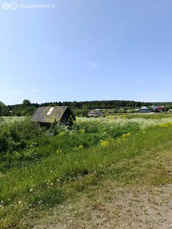 Участок в Нижнесергинский район, Михайловское муниципальное ... - Фото 1