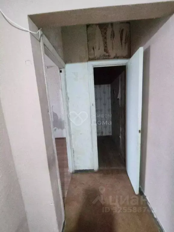 2-к кв. Волгоградская область, Волгоград ул. Рихарда Зорге, 51 (51.0 ... - Фото 2