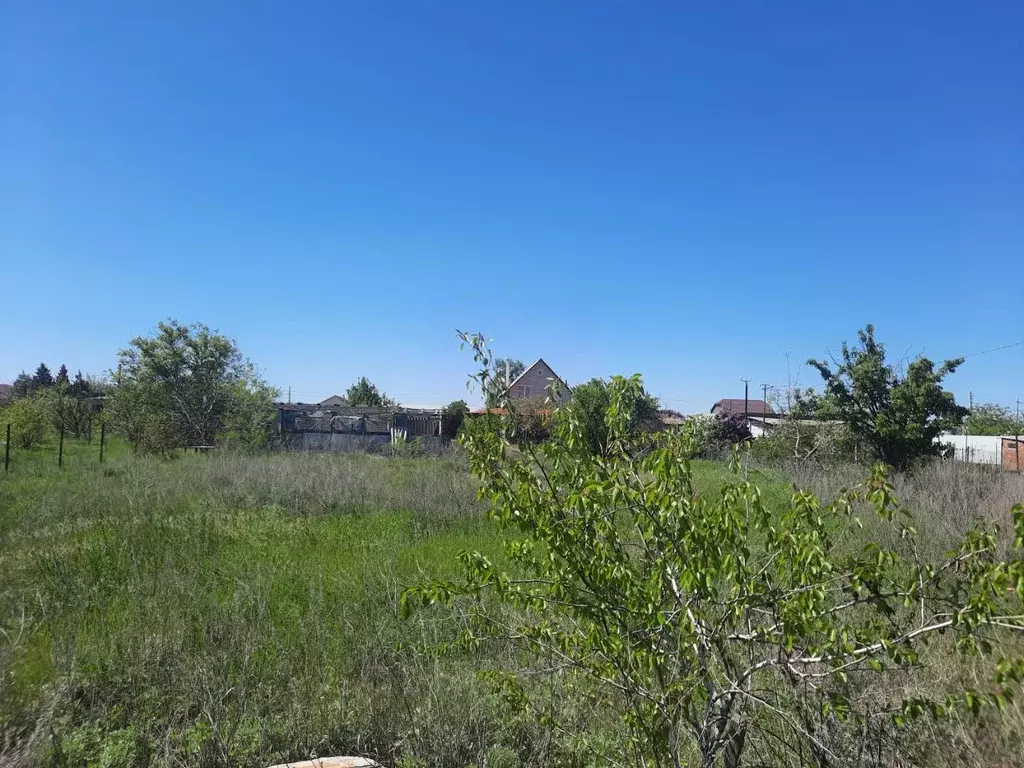 Участок в Волгоградская область, Городищенский район, Царицынское ... - Фото 1