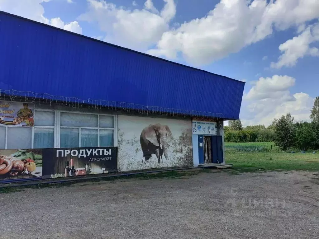 Торговая площадь в Башкортостан, Шаранский район, с. Дюртюли Школьная ... - Фото 0