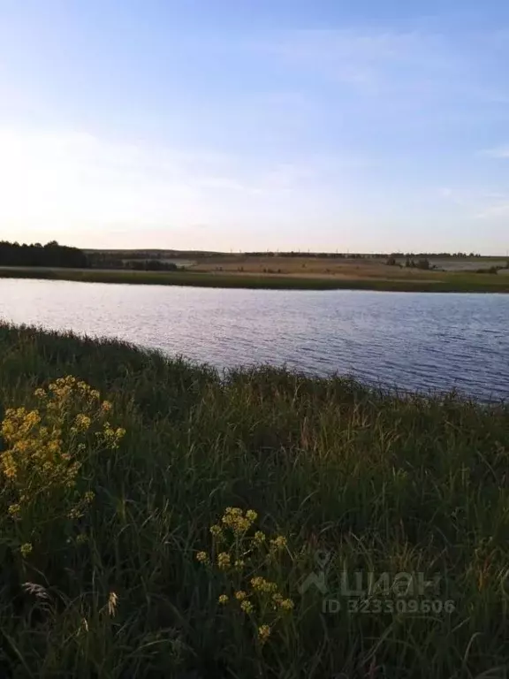 Участок в Саратовская область, Новобурасское муниципальное ... - Фото 1