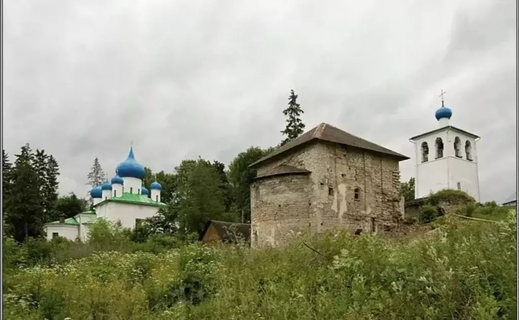 Участок в Псковская область, Печорский муниципальный округ, д. Малы  ... - Фото 2