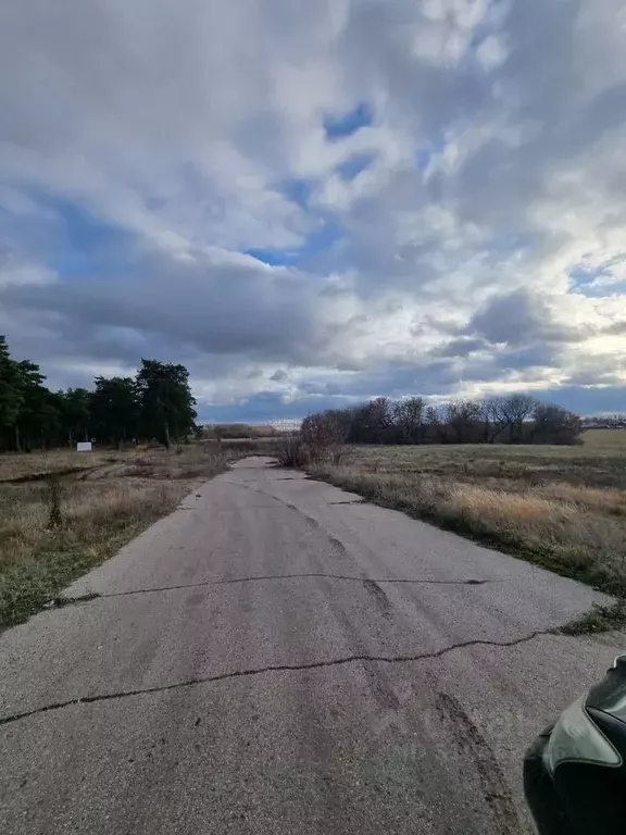 Участок в Самарская область, Ставропольский район, с. Ташелка  (13.0 ... - Фото 1