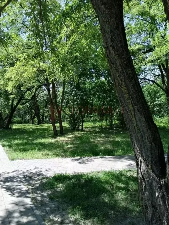 1-к кв. Ростовская область, Аксай Садовая ул., 20Б (36.8 м) - Фото 2