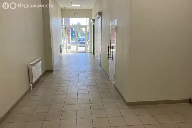 Помещение свободного назначения (81.4 м) - Фото 1