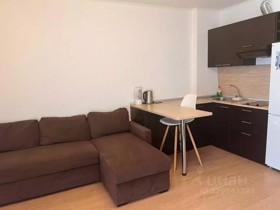 Студия Санкт-Петербург просп. Энергетиков, 11к2 (25.7 м) - Фото 2