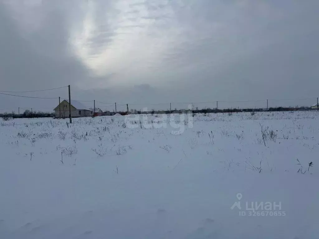 Участок в Воронежская область, Каширский район, Дзержинское с/пос, ... - Фото 1