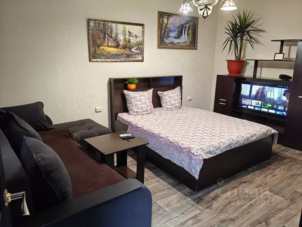Студия Ростовская область, Сальск ул. Коломийцева, 139 (25.0 м) - Фото 1