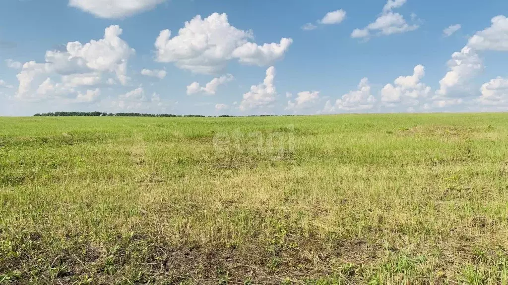 Участок в Тульская область, Новомосковск Сокольники мкр,  (813.4 сот.) - Фото 1