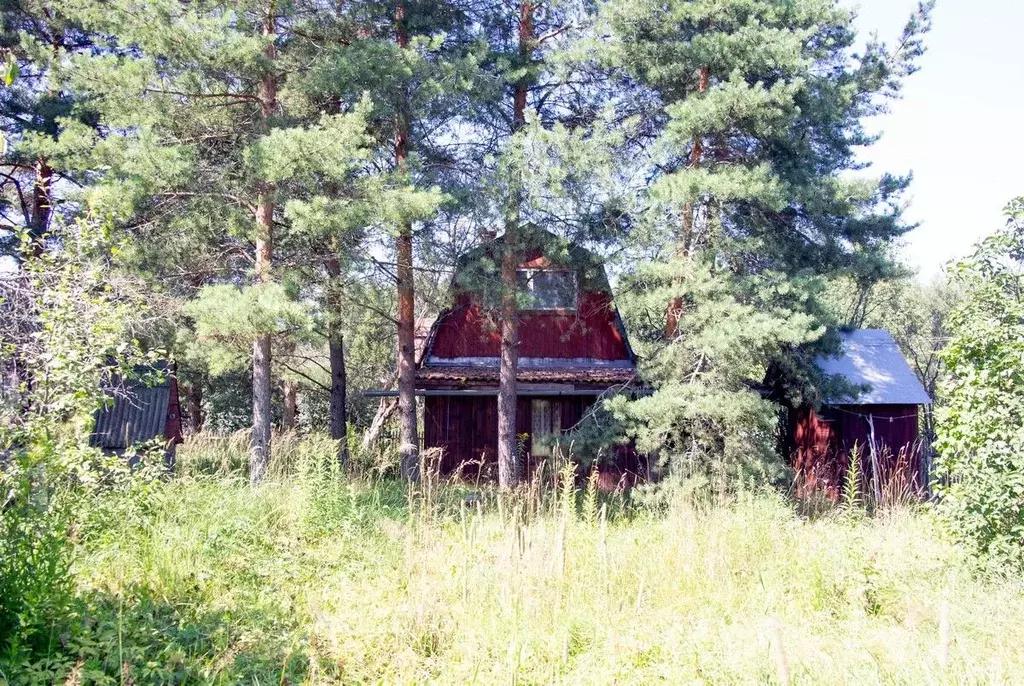 Дом в Владимирская область, Камешковский район, Второвское ... - Фото 1