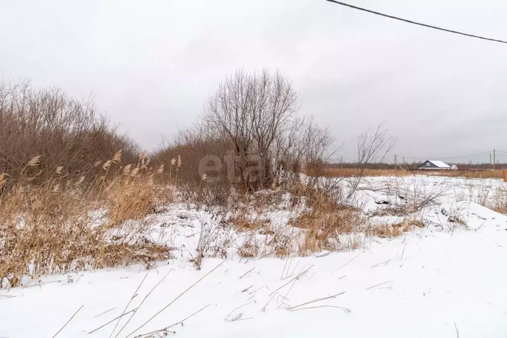 Участок в Тюменская область, Тюмень Большое Царево-1 СНТ,  (9.0 сот.) - Фото 1