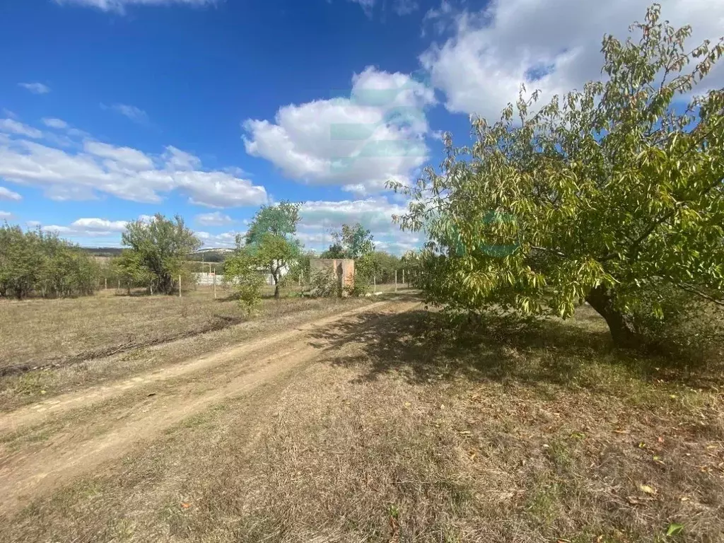 Участок в Крым, Симферопольский район, Перовское с/пос, Рино СТ 13 ... - Фото 1