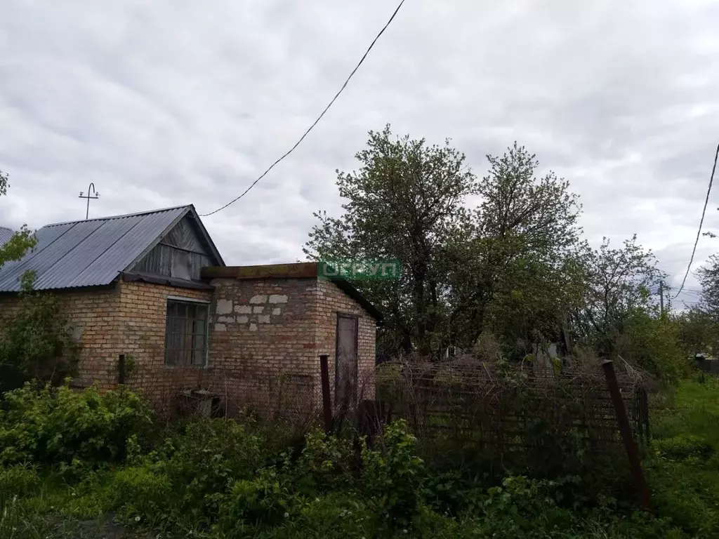 Дом в Пензенская область, Пенза Коммунальник садовое дачное ... - Фото 0