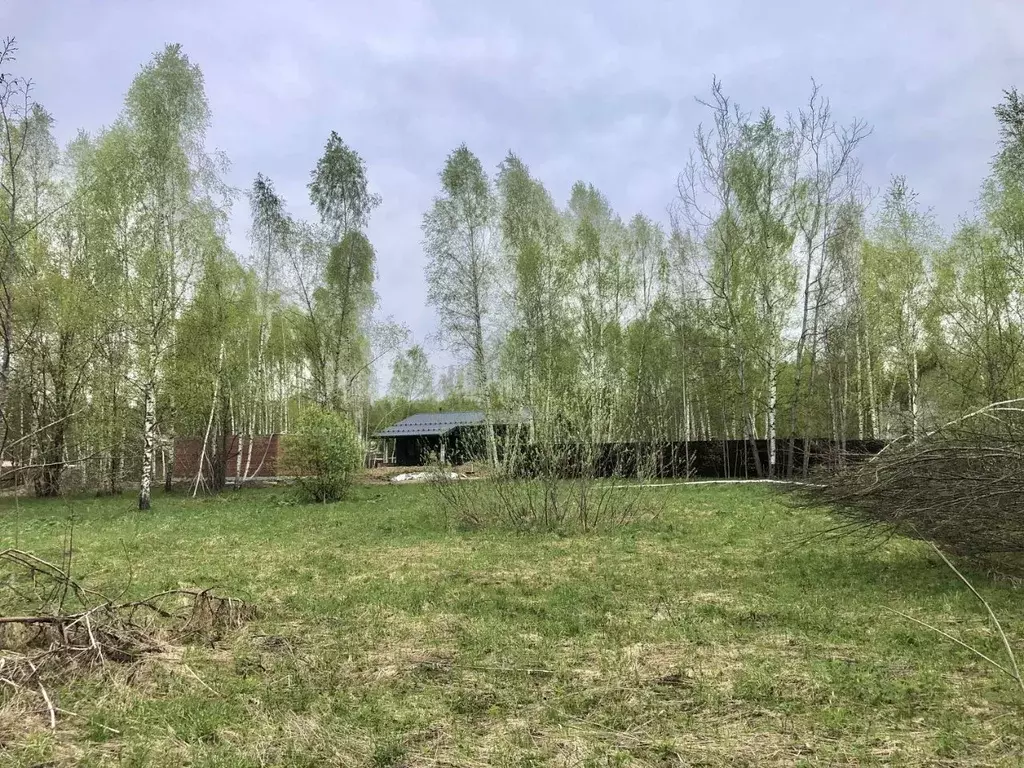 Участок в Московская область, Дмитровский муниципальный округ, д. ... - Фото 2