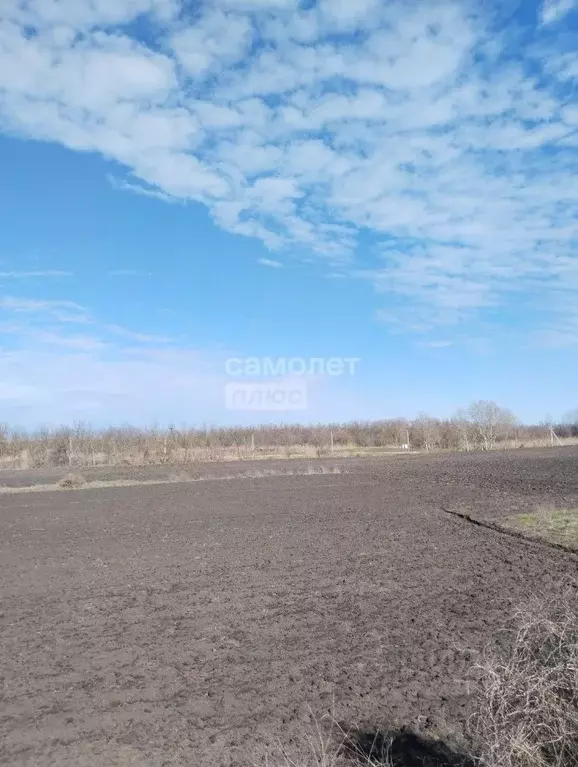 Участок в Краснодарский край, Кореновский район, Дядьковская ст-ца ул. ... - Фото 1