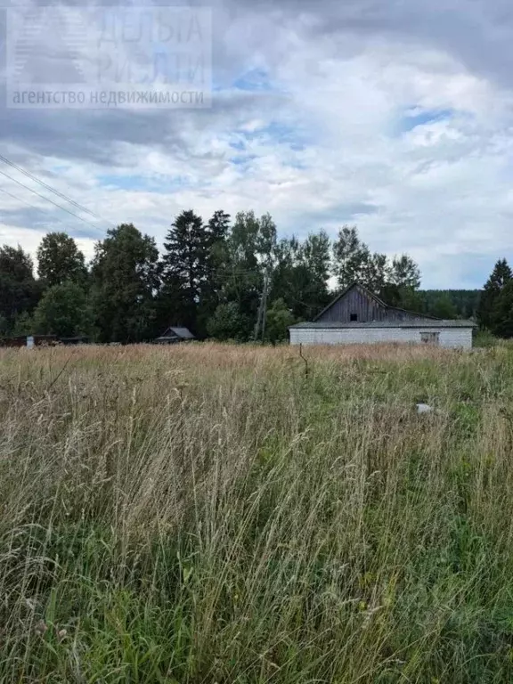 Участок в Ивановская область, Лежневский район, Шилыковское с/пос, с. ... - Фото 2