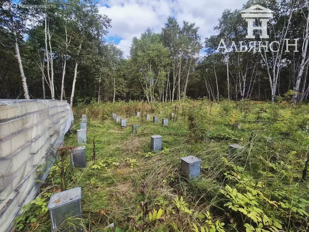 Участок в Камчатский край, Елизовский муниципальный округ, посёлок ... - Фото 1