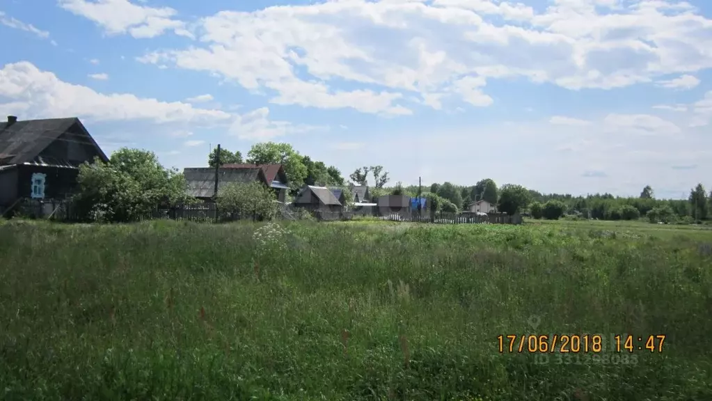 Участок в Нижегородская область, Городецкий муниципальный округ, ... - Фото 2