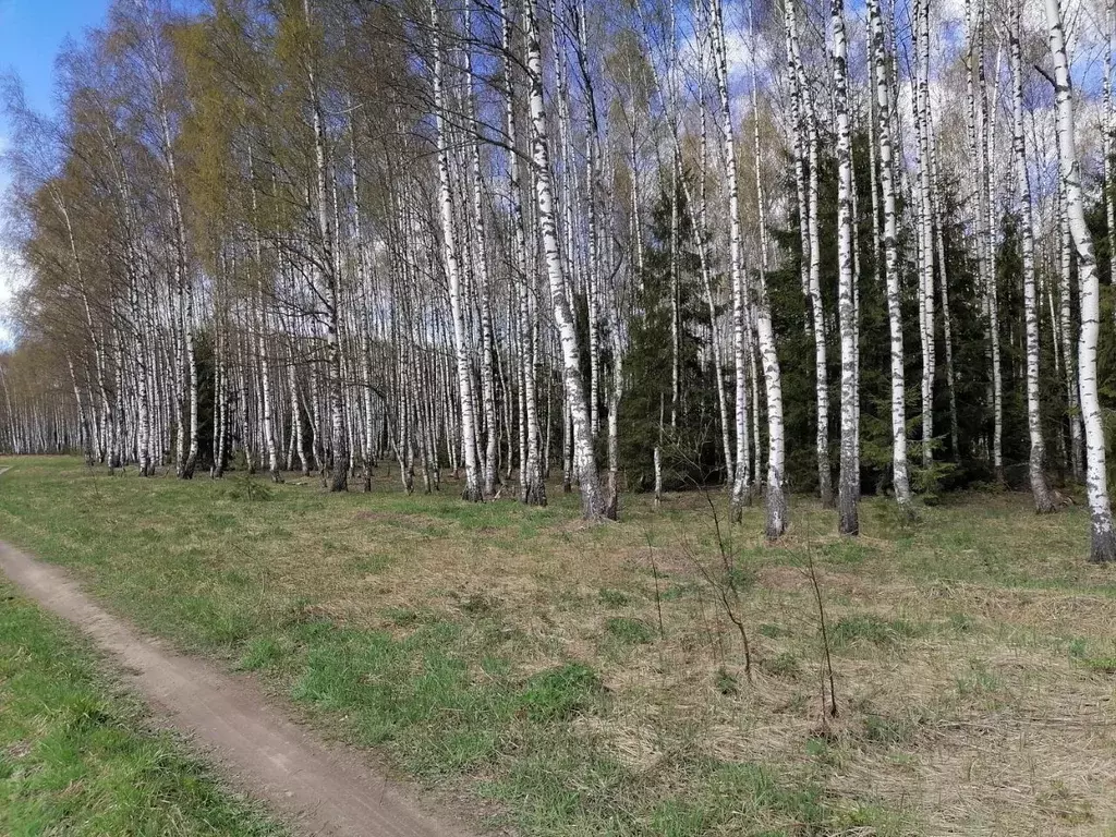 Участок в Владимирская область, Киржачский муниципальный округ, д. ... - Фото 1