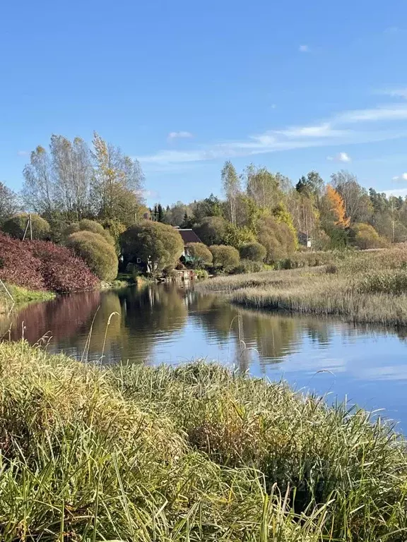 Участок в Ленинградская область, Гатчинский муниципальный округ, д. ... - Фото 1