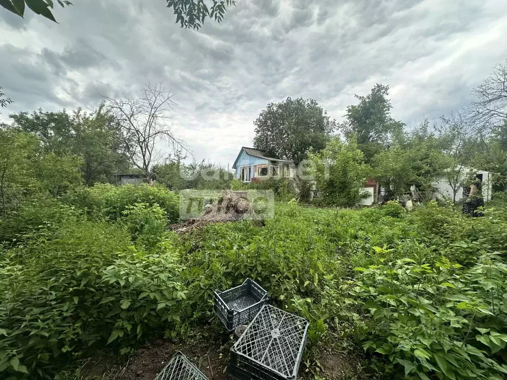 Участок в Рязанская область, Рязань Керамик-2 СТ, 113 (12.0 сот.) - Фото 2