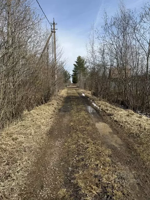 Участок в Ленинградская область, Кировский район, Путиловское с/пос, ... - Фото 1