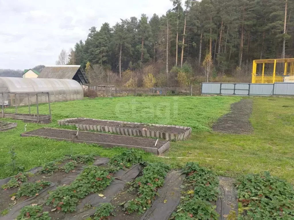 Участок в Алтай, Майминский район, с. Соузга Сосновый пер. (15.0 сот.) - Фото 1