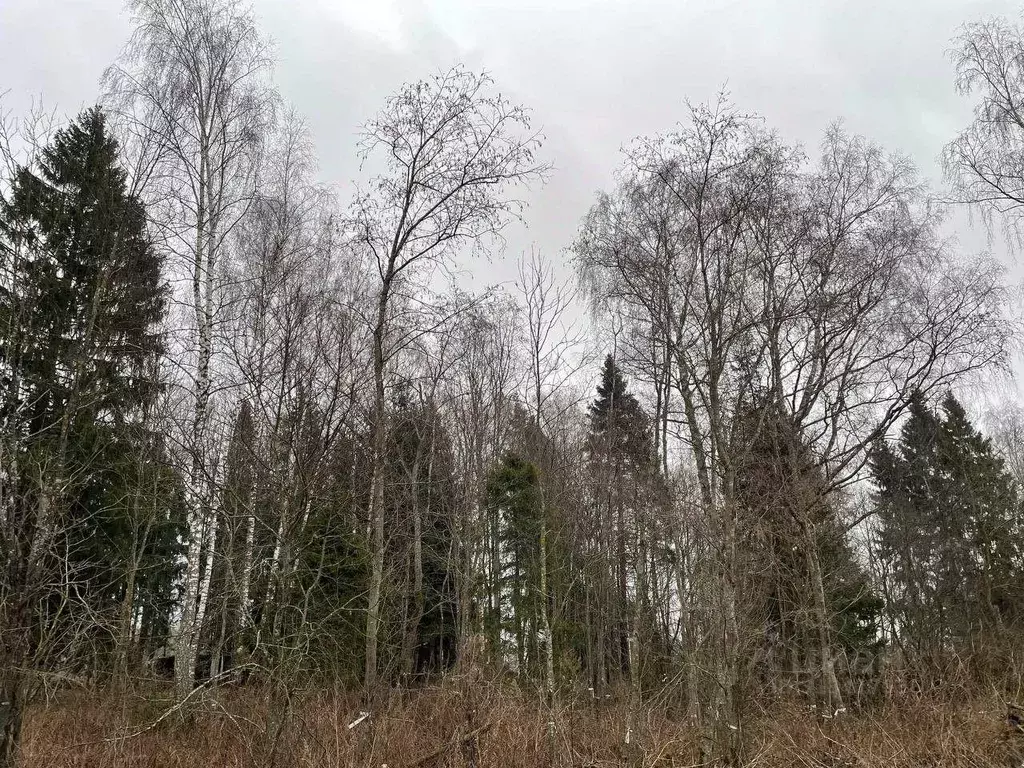 Участок, 19.3 сот., поселения (ижс) - Фото 1