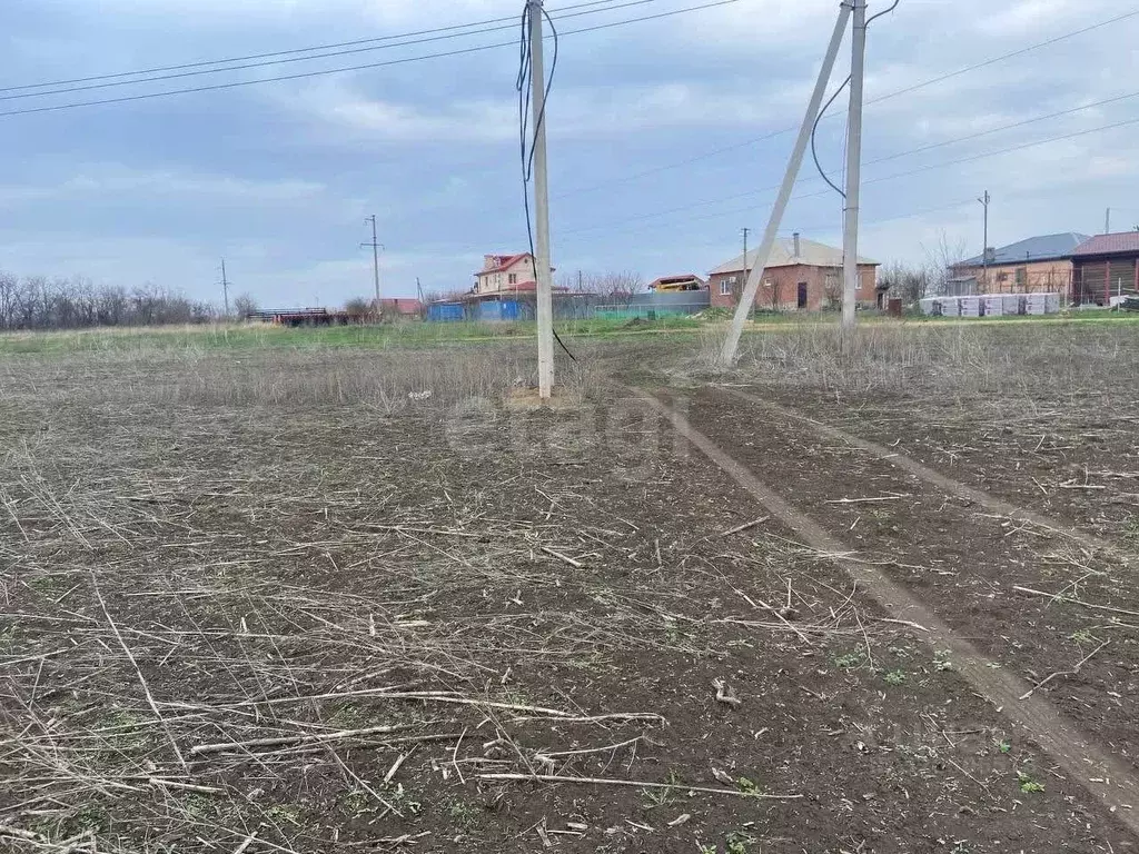 Участок в Ростовская область, Мясниковский район, с. Большие Салы ул. ... - Фото 2
