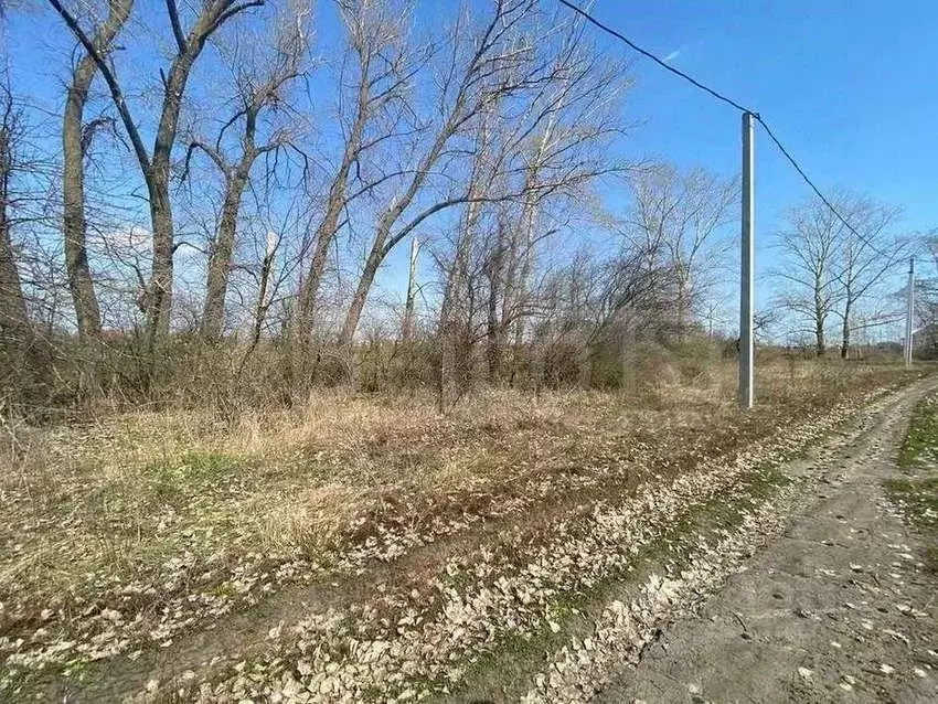 Погода в новоживотинном рамонского на 10