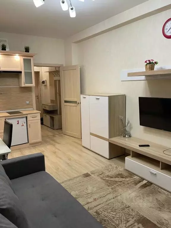 Студия Санкт-Петербург Пулковское ш., 14Е (28.0 м) - Фото 1