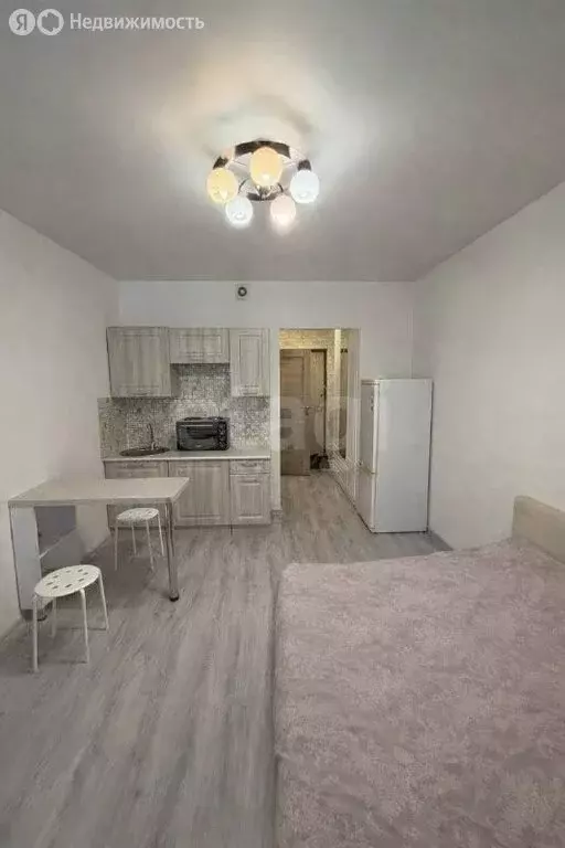 Квартира-студия: Кудрово, Английская улица, 2 (20.3 м) - Фото 2
