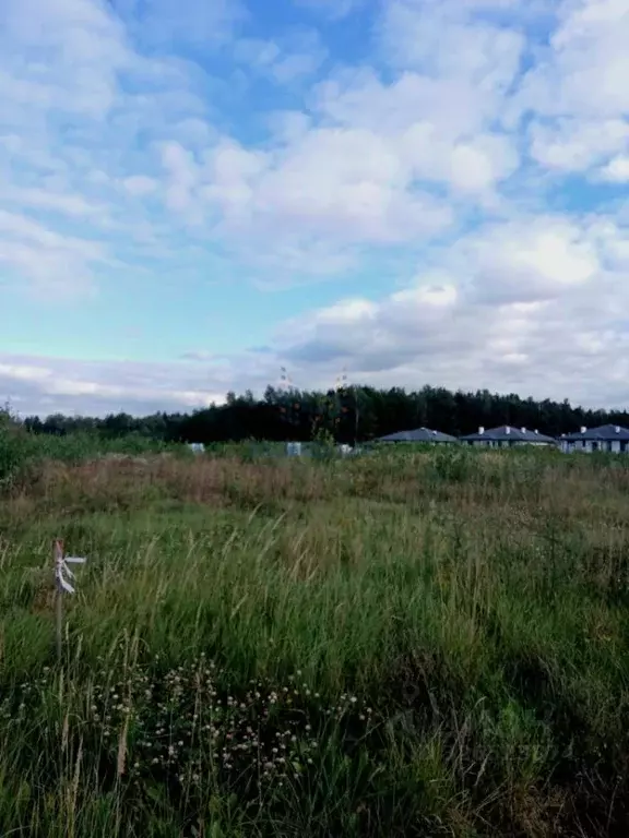 Участок в Москва № 177А кв-л, 252 (7.48 сот.) - Фото 1